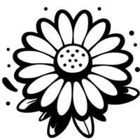 Blooming aster flower top view in monochrome. Beautiful garden plant. Simple minimalistic in black ink drawing on white background vector