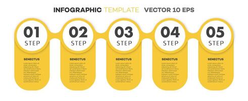 Infographic template timeline process color style vector