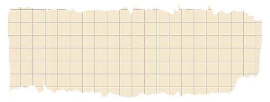 Torn sheet paper empty style vector