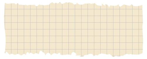 Torn sheet paper empty style vector