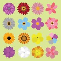 collection of flowers with different types and colors vector