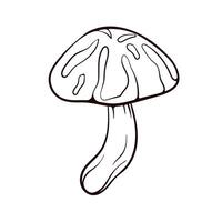 Stylized Illustration of Japanese Shiitake Mushroom in Line Art techniques. Autumn design for vegetable store, menu, restaurants. on a white background. vector
