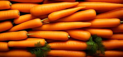 A pile of fresh carrot form the background, shown from above photo