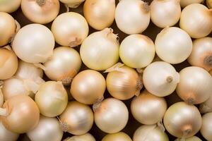 A pile of fresh onion form the background, shown from above photo