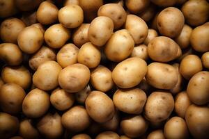 A pile of fresh potato form the background, shown from above photo