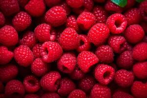 A pile of fresh Raspberry form the background, shown from above photo