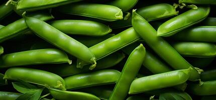 A pile of fresh green Pea pod form the background, shown from above photo