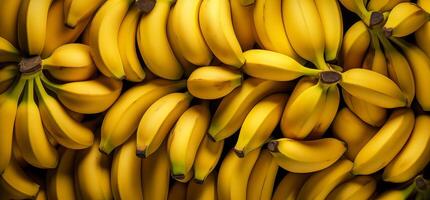 A pile of fresh bananas form the background, shown from above photo