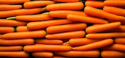 A pile of fresh carrot form the background, shown from above photo