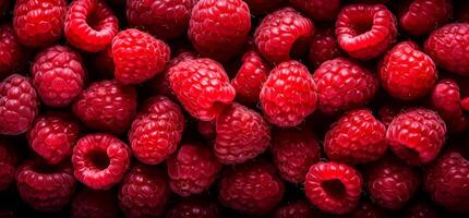 A pile of fresh Raspberry form the background, shown from above photo