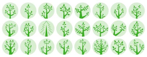Collection of illustrations of trees. Green trees in light circles. Wood for every taste. Abstraction of trees with leaves. vector