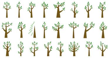 Collection of illustrations of trees. Wood for every taste. Abstraction of trees with leaves. Various trees. vector