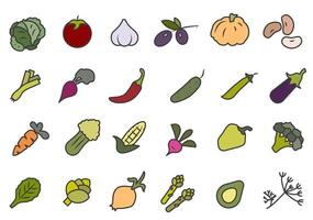 Color vegetable set illustration. The icons are colored with a stroke. Vegetables for different tastes. vector