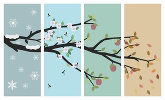 A set of pictures of the four seasons of the year. Tree four times a year in spring, summer, autumn and winter illustration. vector