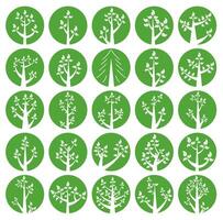 Collection of illustrations of trees. White trees in green circles. Wood for every taste. Abstraction of trees with leaves. vector