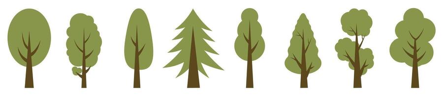 Green tall trees. Collection of illustrations of trees. Wood for every taste. Abstraction of trees. vector