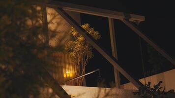 Modern Nighttime Architecture with Illuminated Tree video