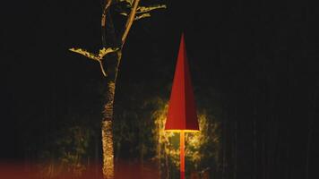 Red Triangular Sculpture in Dark Forest video