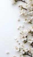 Delicate white flowers arranged on a soft background for an elegant spring display photo