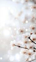 Delicate white flowers arranged on a soft background for an elegant spring display photo