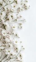 Delicate white flowers arranged on a soft background for an elegant spring display photo