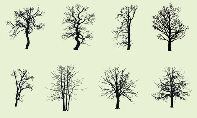 Set of silhouettes of dead trees without leaves. Autumn-winter deciduous trees without leaves