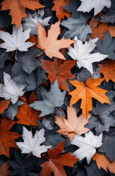 Dark leaves scattered on a surface with a single brown leaf in an artistic arrangement photo
