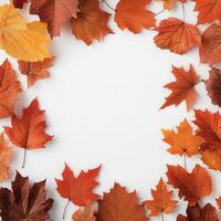 Autumn leaves and decorative elements framed on a white background photo