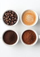 Various coffee beans and ground coffee displayed in bowls on a light background photo