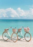Three bicycles parked on a sandy beach under a leafy tree on a sunny day photo