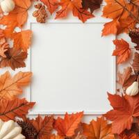 Autumn leaves and decorative elements framed on a white background photo