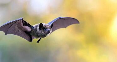 A close-up of a bat in flight against a blurred natural background during twilight photo