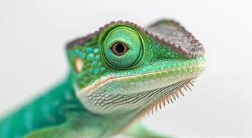 Close-up of a vibrant green lizard with detailed scales and striking eyes photo