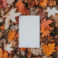 Blank card surrounded by colorful autumn leaves on the ground in a forest setting photo