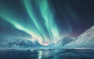 Person Standing in Awe of Northern Lights Above Snowy Landscape at Night photo