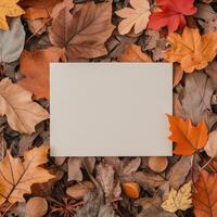 Blank card surrounded by colorful autumn leaves on the ground in a forest setting photo