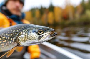 Angler Holding Trout in Autumn Colors on Northern Lake photo