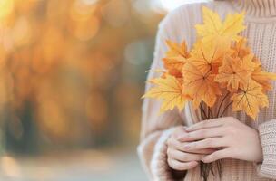 Autumn Leaves Collection in Warm Light During a Crisp Fall Day photo
