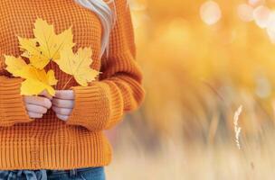 Autumn Leaves Collection in Warm Light During a Crisp Fall Day photo