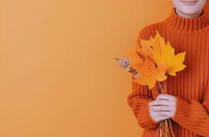 Autumn Leaves Collection in Warm Light During a Crisp Fall Day photo