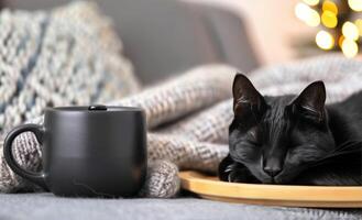 Black Cat Sleeping on Cozy Knit Blanket With Coffee Mug and Small Tray photo
