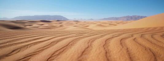 Golden Sand Dunes in a Wide Desert Under Bright Blue Sky photo