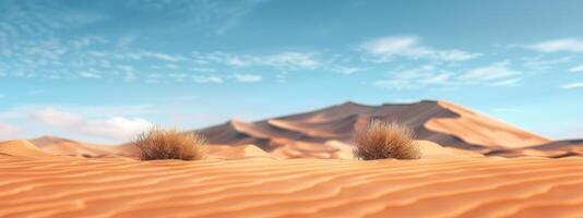 Sunlit Desert Dunes With Lush Grass Clusters Under Clear Blue Sky photo