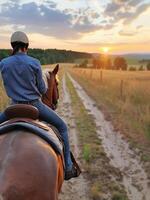 Horses Walking Along a Trail at Sunset in a Peaceful Countryside photo