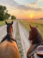 Horses Walking Along a Trail at Sunset in a Peaceful Countryside photo