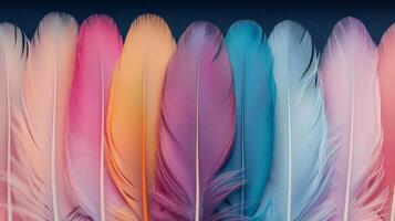 Colorful Feathers Displayed Close Up in Various Hues photo