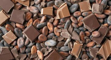 Dark Chocolate Bars With Cocoa Nibs And Powder On A Rustic Table photo