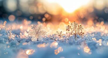 Delicate Snowflakes Sparkle in Soft Winter Light at Sunrise photo