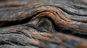 Close-Up of Weathered Wood Grain With Knots Captured in Natural Light photo
