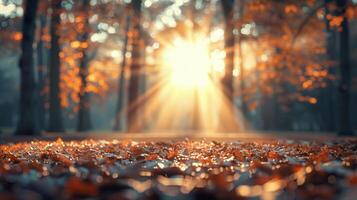 Sunset Over Tranquil Park With Lush Grass and Majestic Trees photo